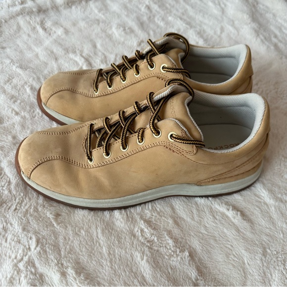 rockport mens oxfords